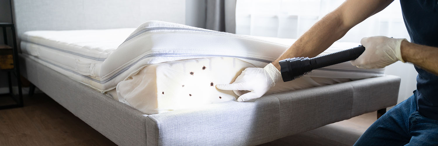 Is there a Mattress Protector for bed bugs?