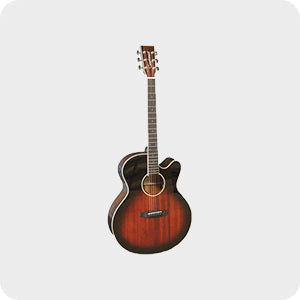 acoustic-guitars-folders-nz