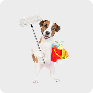 pet-supplies-pet-home-cleaners