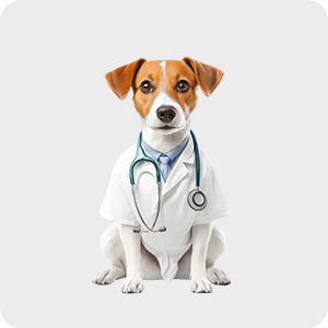dog-health-hygiene-nz