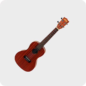 ukulele-mandolin-folders-nz
