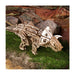 Ugears Triceratops 121829