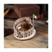 Ugears Rome Coloseum 122079