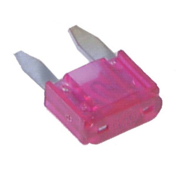 3A Pink Mini Blade Fuse - Folders