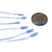 6V Mini Lamps - Small - Folders
