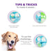 Nina Ottosson A-Maze Ball Dog Puzzle Treat Dispensing Toy | Outward Hound 3