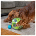 Nina Ottosson A-Maze Ball Dog Puzzle Treat Dispensing Toy | Outward Hound 2