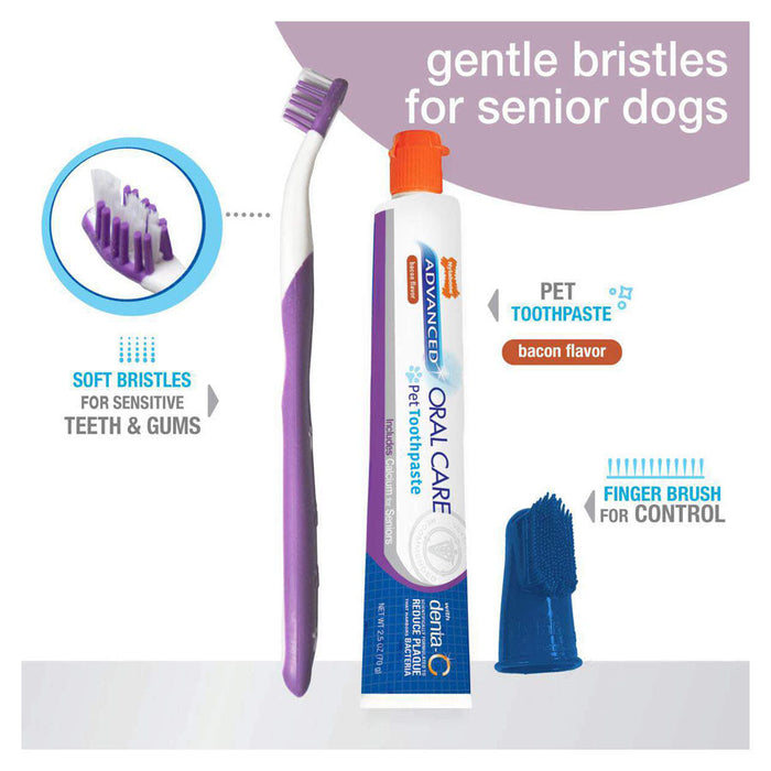 Advanced Oral Care Senior Dog Dental Kit | Nylabone 2