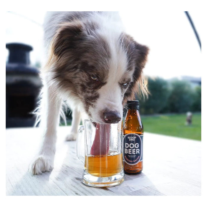 Barking Bacon Dog Beer | Scoop Dog 6