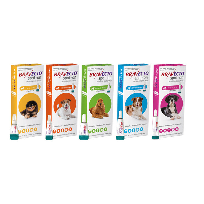 Flea & Tick Spot On For Dogs | Bravecto 1