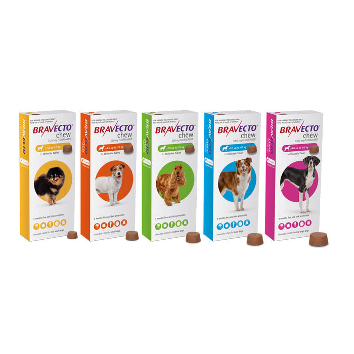 Flea & Tick Chew For Dogs | Bravecto 1