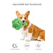 Doglemi Broccoli design dog snuffle toy 3