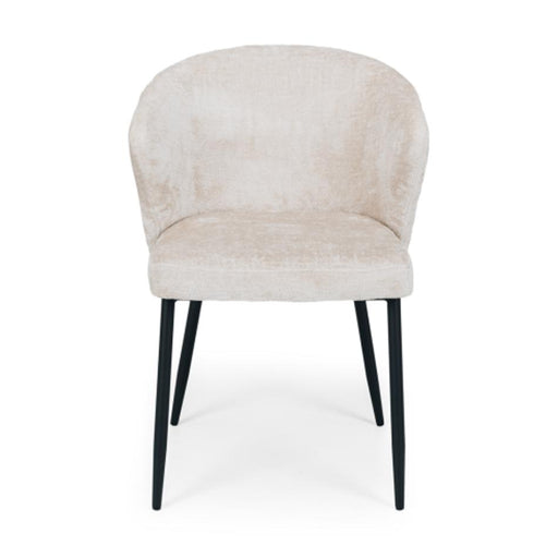 Furniture By Design Teddy Dining Chair Oyster DDTEDO_1