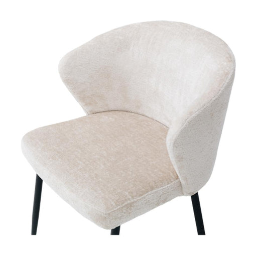 Furniture By Design Teddy Dining Chair Oyster DDTEDO_2