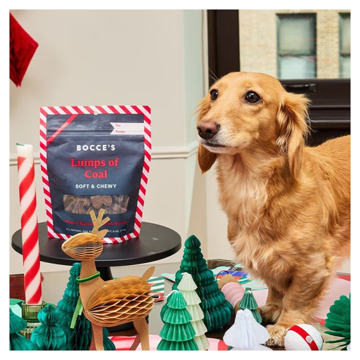 Lumps of Coal | Bocce's Bakery 2