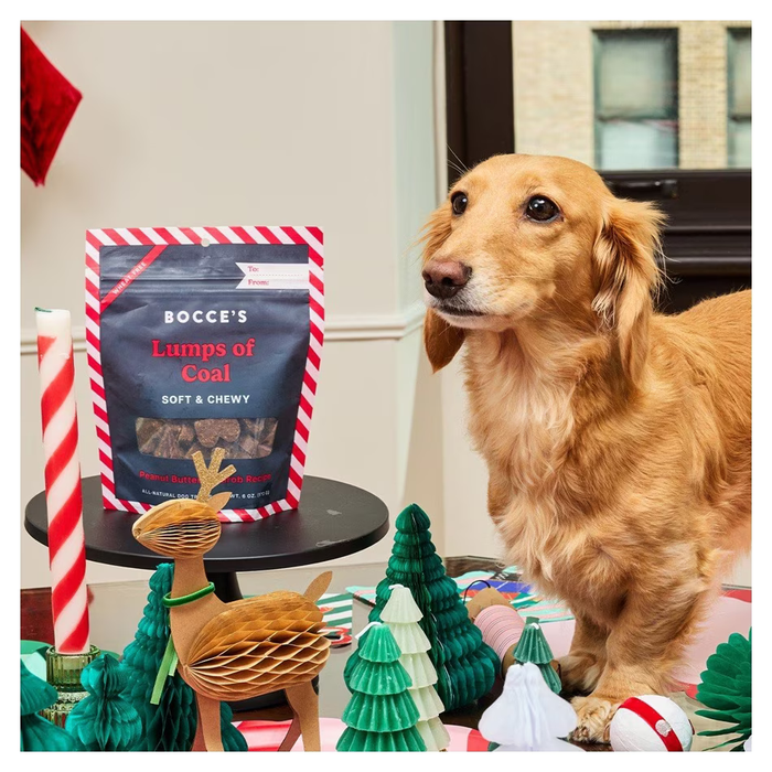 Lumps of Coal | Bocce's Bakery 2