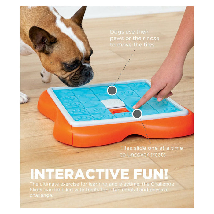 Nina Ottosson Challenge Slider Interactive Treat Puzzle Dog Toy 2