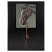 Rembrandt Brown Horse Canvas Art ZL6016 - Elegant Wall Decor_1