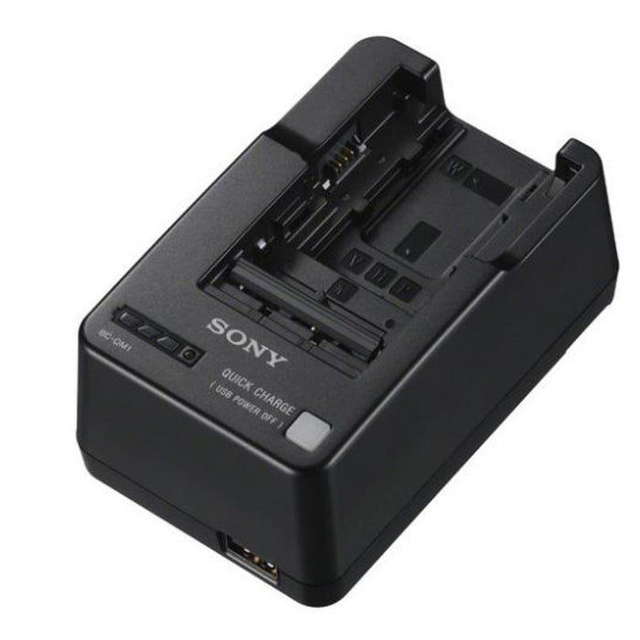 Sony Bcqm1 Charger W M V H P Series Batteries SA3138