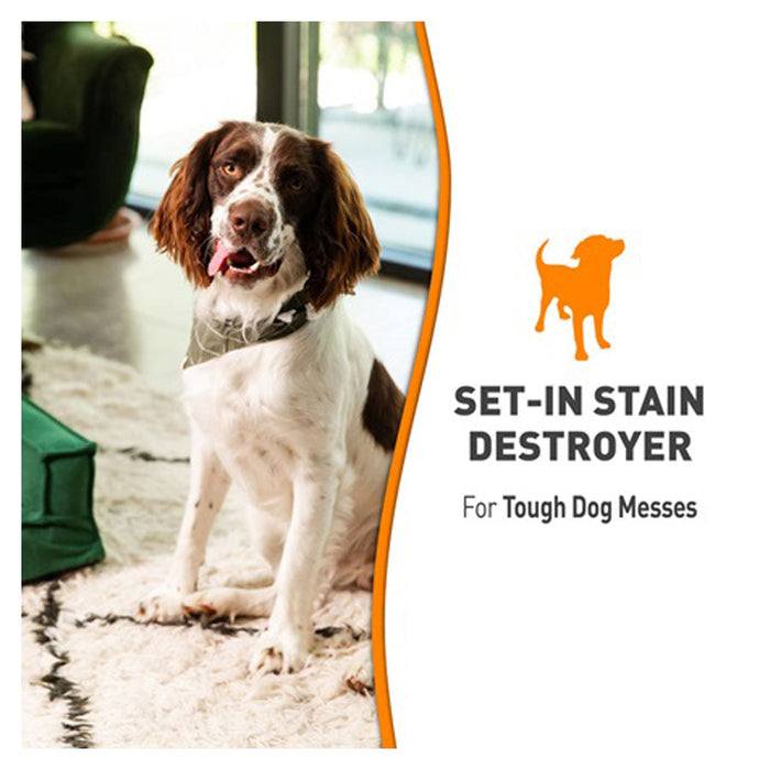 Natures Miracle Set-in Stain Destroyer 5