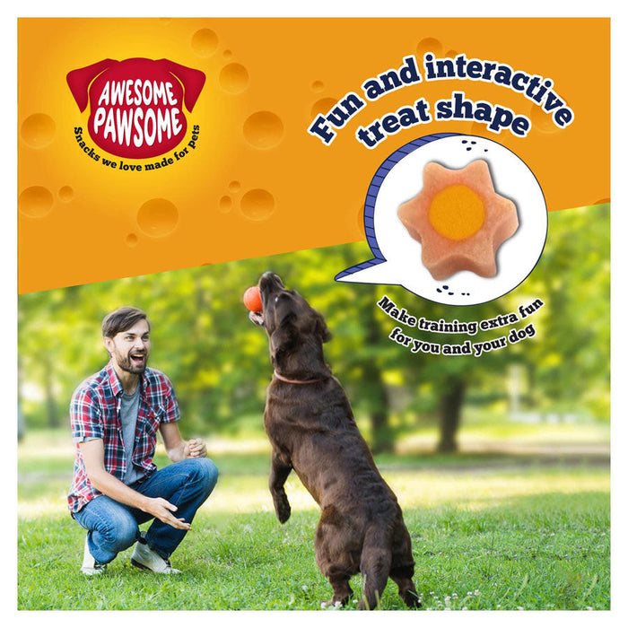 Awesome Pawsome Baconmania Dog Treats 4