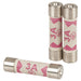 Ceramic Fuse 6 x 25mm 3A Fast Blow - Folders