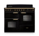 Falcon NGC Classic Deluxe 110cm Induction Range Cooker with Proving Drawer — Gloss Black / Antique Brass