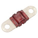 Electus Fuse Midi 50A Red SF2032_1