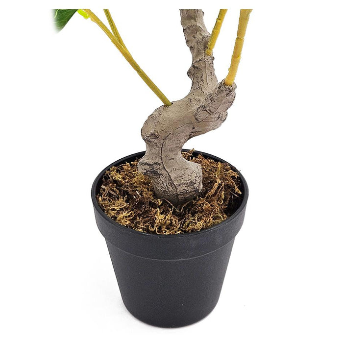 image_4