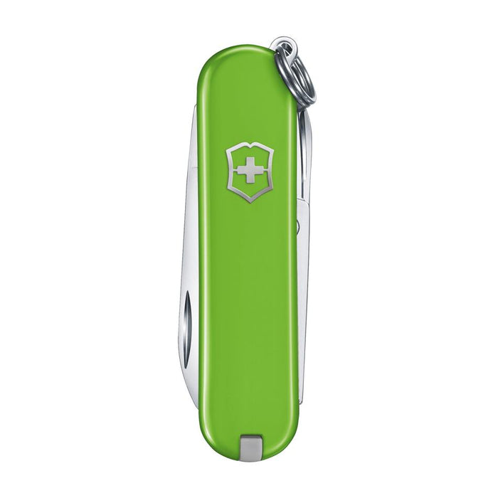 image_1