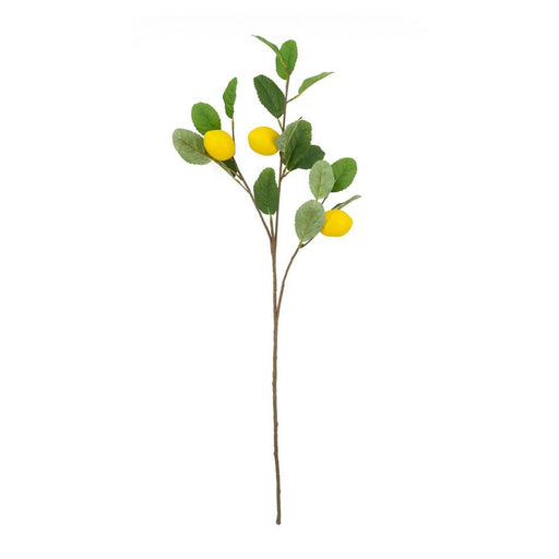 image_1