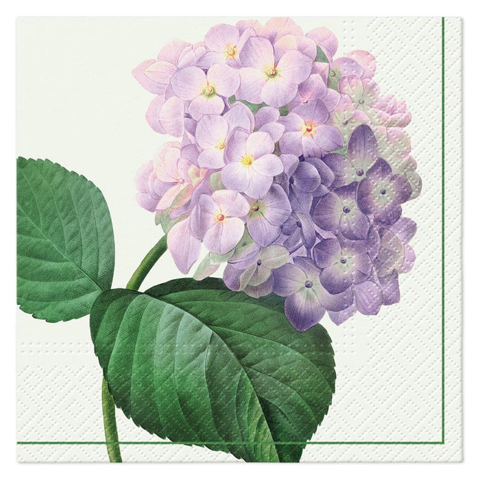 image_1