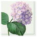 image_1