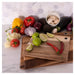 image_8