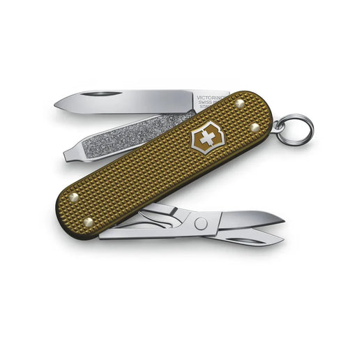 image_1