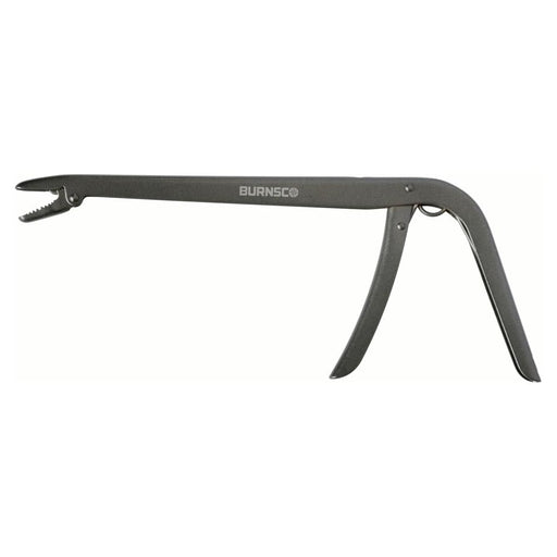 image_1