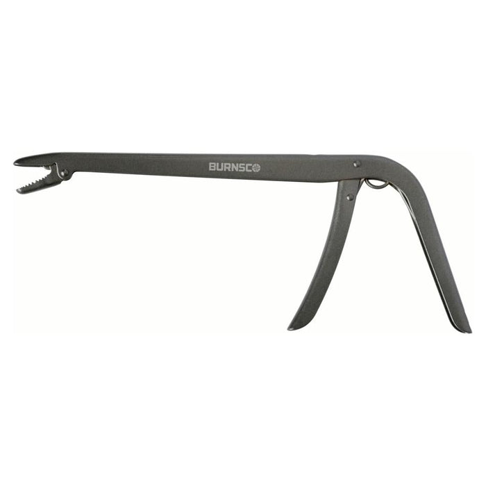 image_1