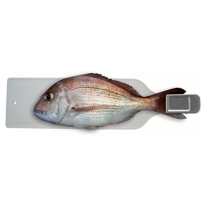 image_1