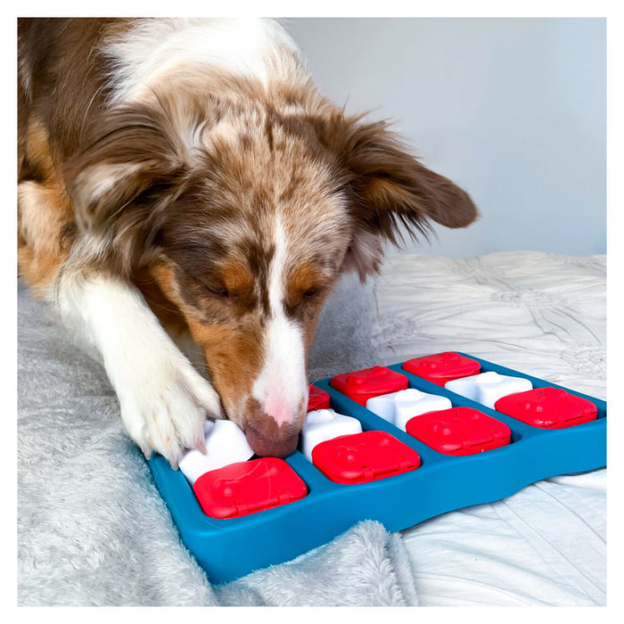 Nina Ottosson Dog Brick Interactive Treat Puzzle Dog Toy 5