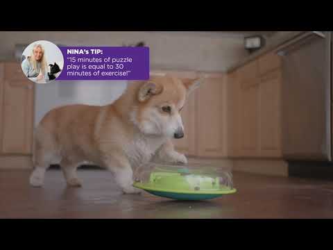 Nina Ottosson Wobble Bowl Interactive Treat Puzzle Dog Toy 6