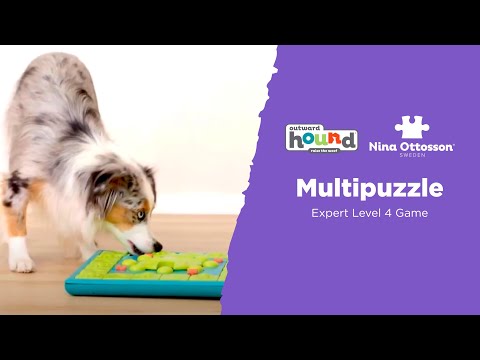 Nina Ottosson MultiPuzzle Interactive Dog Puzzle Toy 6