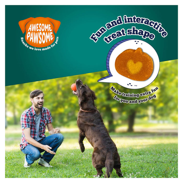 Awesome Pawsome Super Pumpkin Dog Treats 5