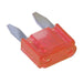 10A Red Mini Blade Fuse - Folders