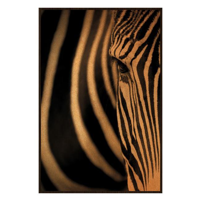 Rembrandt Zebra Framed Canvas Art HK9040