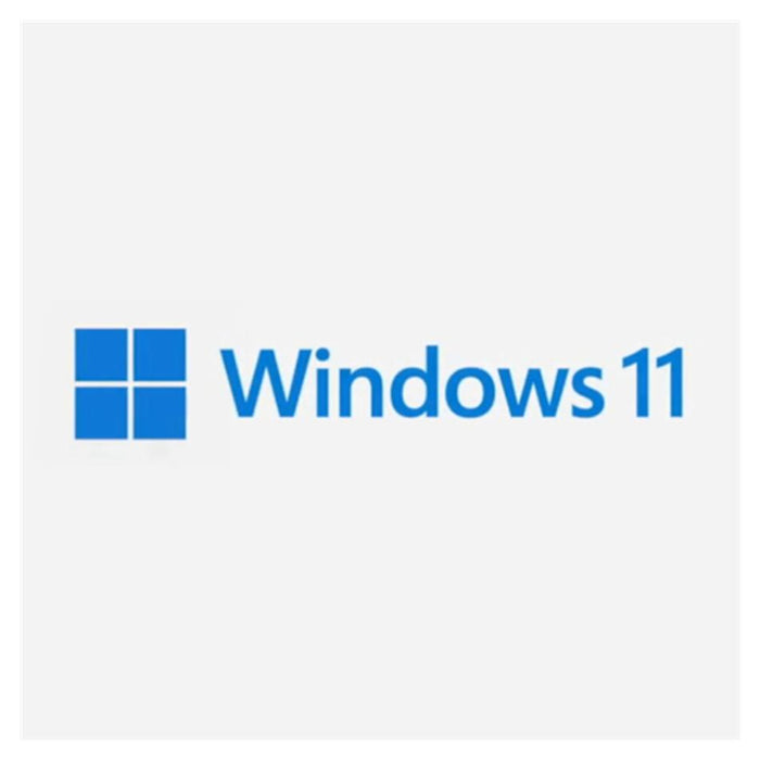 Microsoft Windows 11 Pro - Oem PC1101