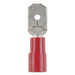 Male Spade - Red - Pk.8 - Folders