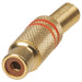 RCA Gold Line Socket WITH SPRING - Folders