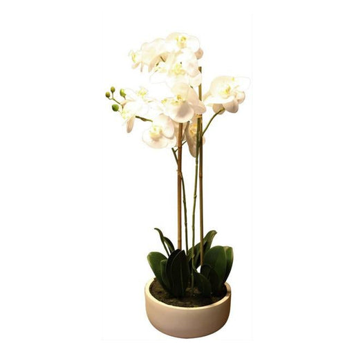 Rembrandt Artificial Flowers - Orchid 2 Spray YI1013-Folders