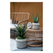 Rembrandt Basket Planters SE2492-Folders
