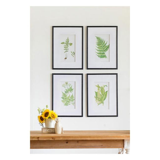 Rembrandt Collection of Plant Fern Wall Art SE2318-Folders